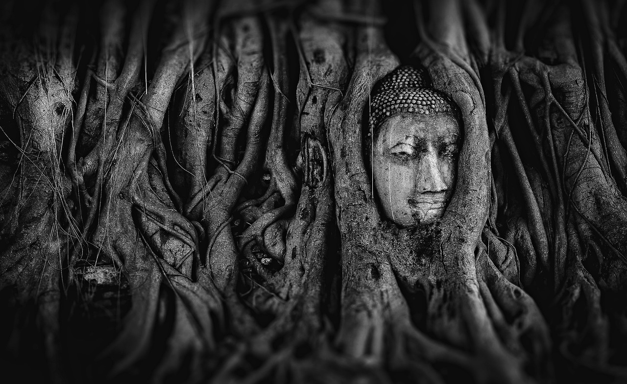 夢(mèng)中遇見(jiàn)的皇后——一場(chǎng)神秘的夢(mèng)境之旅