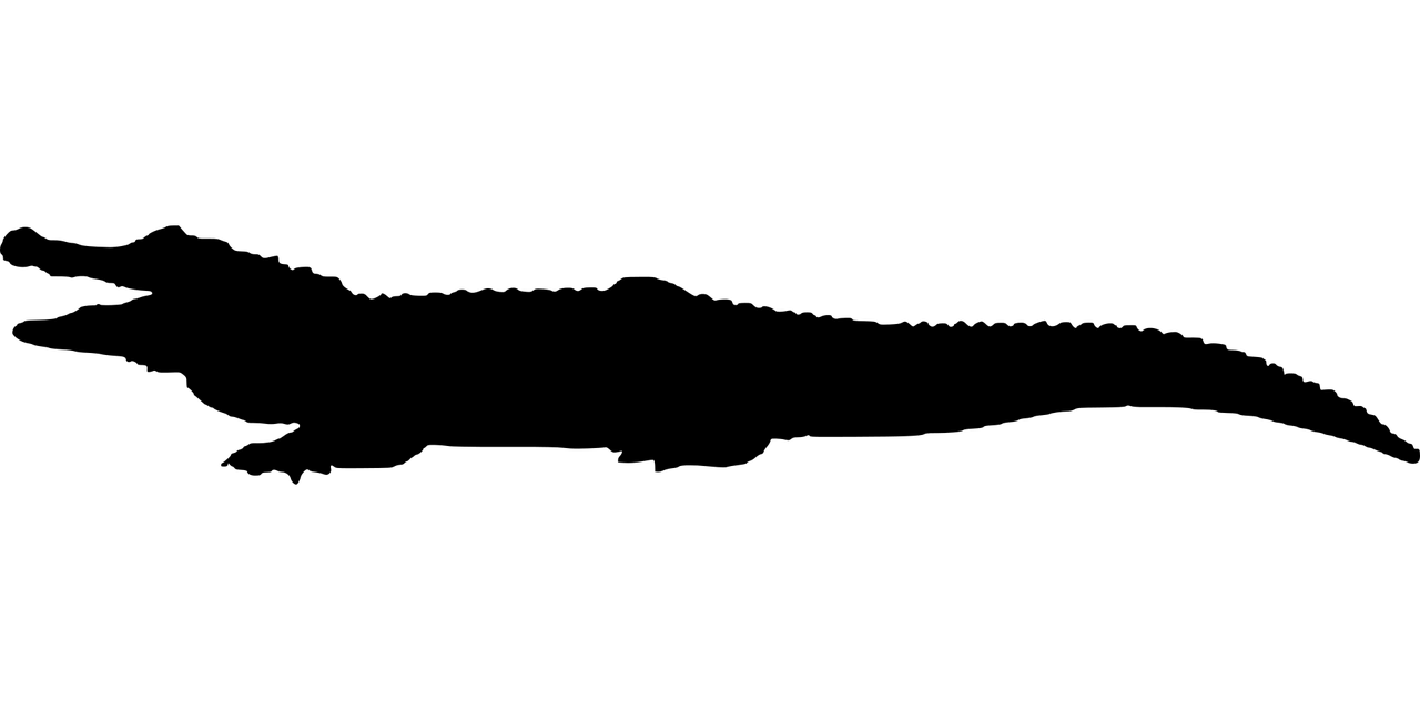 夢(mèng)魘之影，鱷魚咬我之謎