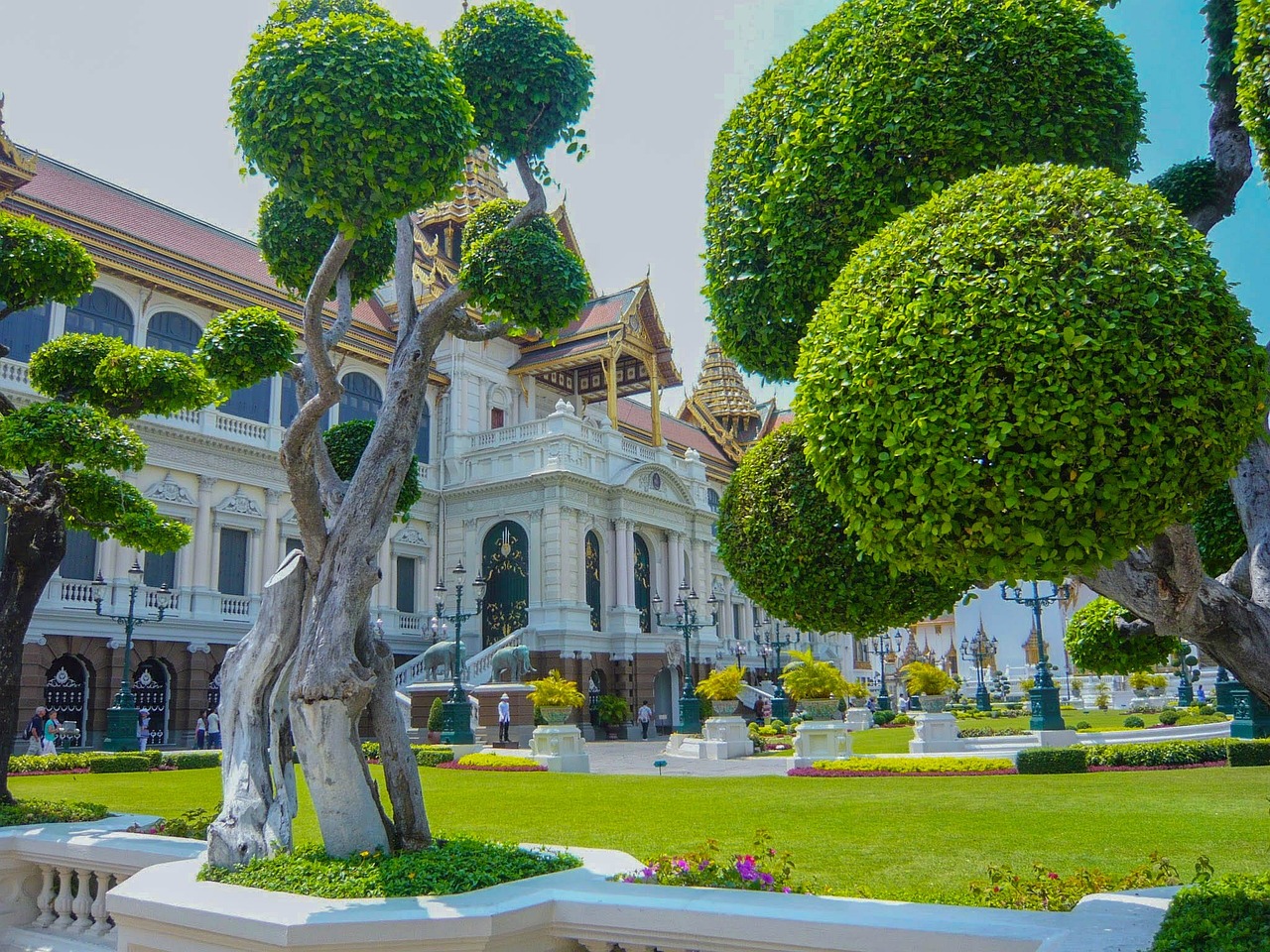 夢(mèng)中的李子樹(shù)，一段心靈的旅程