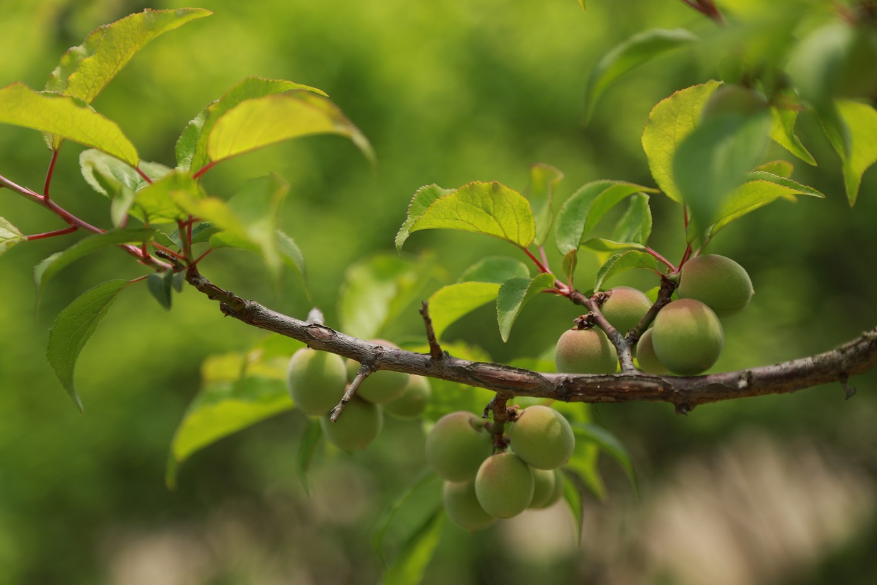 夢(mèng)到幼鳥，生命的希望與成長(zhǎng)的力量