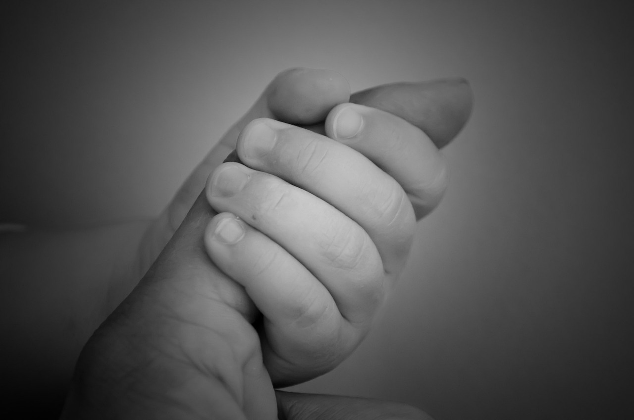 孕婦夢(mèng)到核桃的寓意與解讀