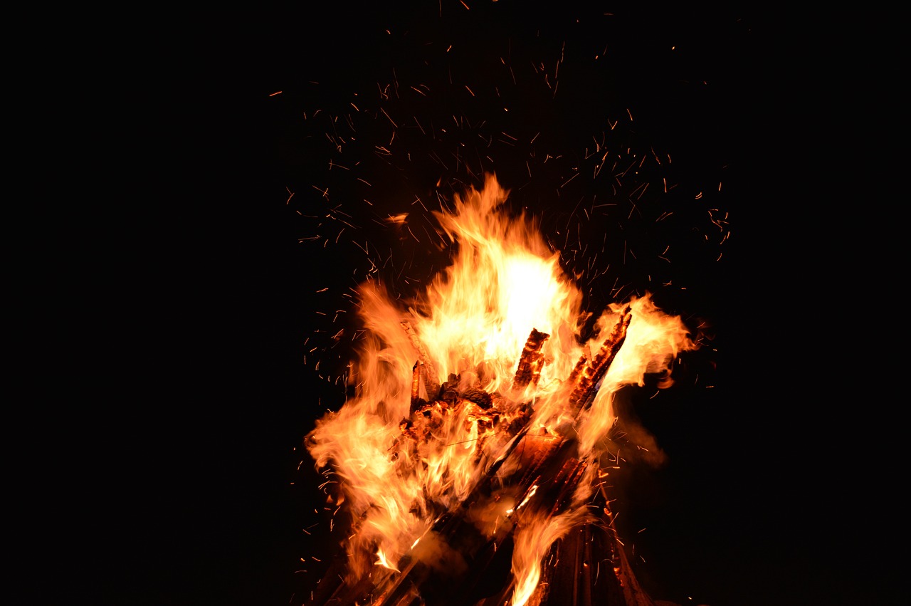 夢(mèng)中的虎影，一次與猛虎的較量