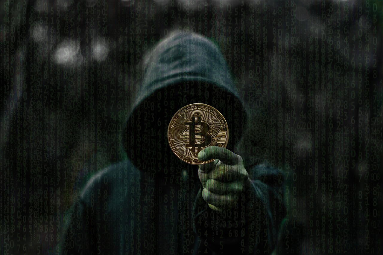 創(chuàng)新與嘗試，一款名為免費旁白游戲的網(wǎng)絡游戲