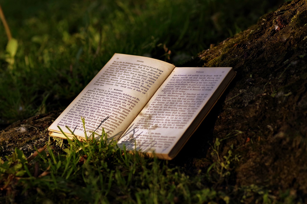 尋書(shū)之夢(mèng)，一場(chǎng)跨越心靈與知識(shí)的冒險(xiǎn)