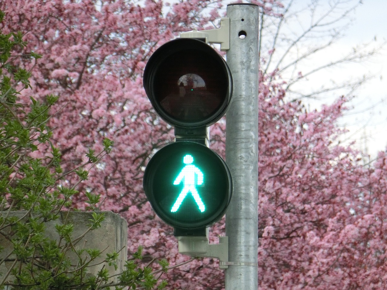 新車(chē)輪胎發(fā)黃的原因是什么？如何預(yù)防和處理這一問(wèn)題？