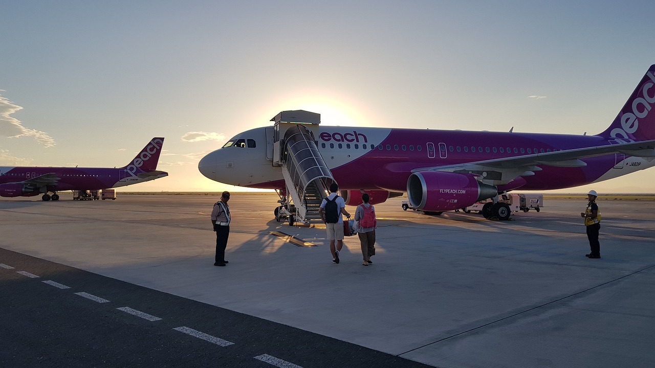 飛翔的夢想——我的飛機(jī)旅游夢