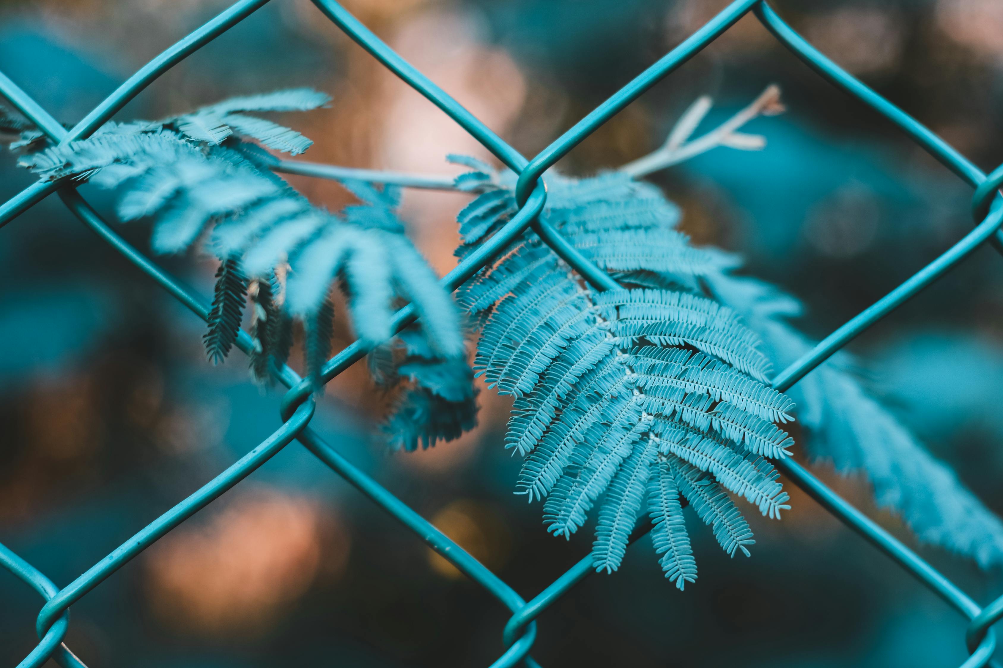 如何進行有效的網(wǎng)站SEO優(yōu)化？
