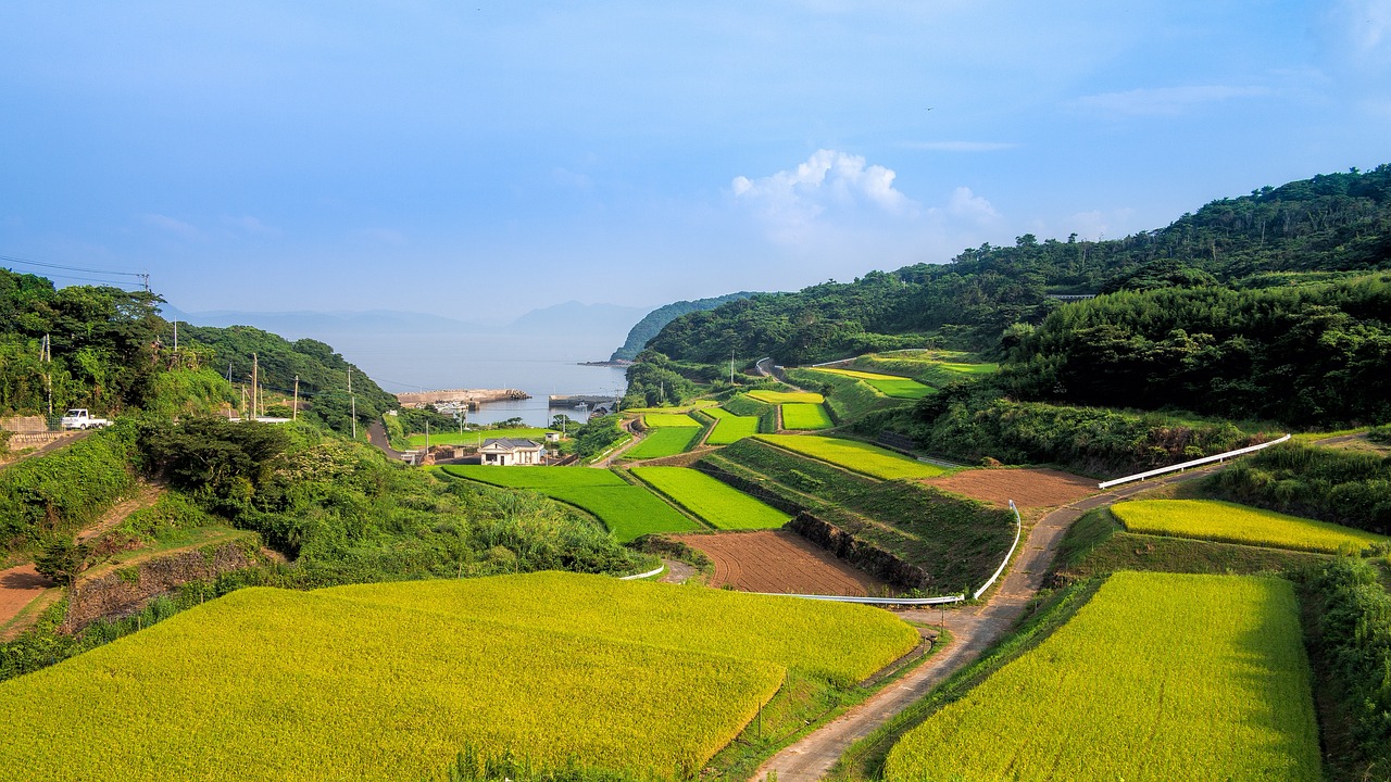 湘西網(wǎng)站流量，助力鄉(xiāng)村振興的數(shù)字引擎