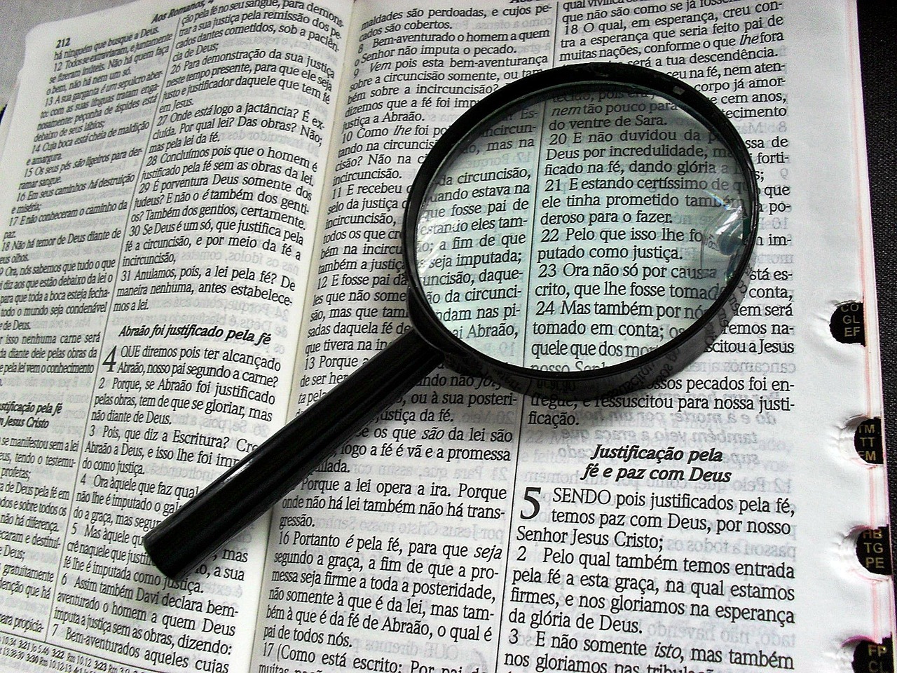 深入解析，如何使用Go語言高效搭建網(wǎng)站
