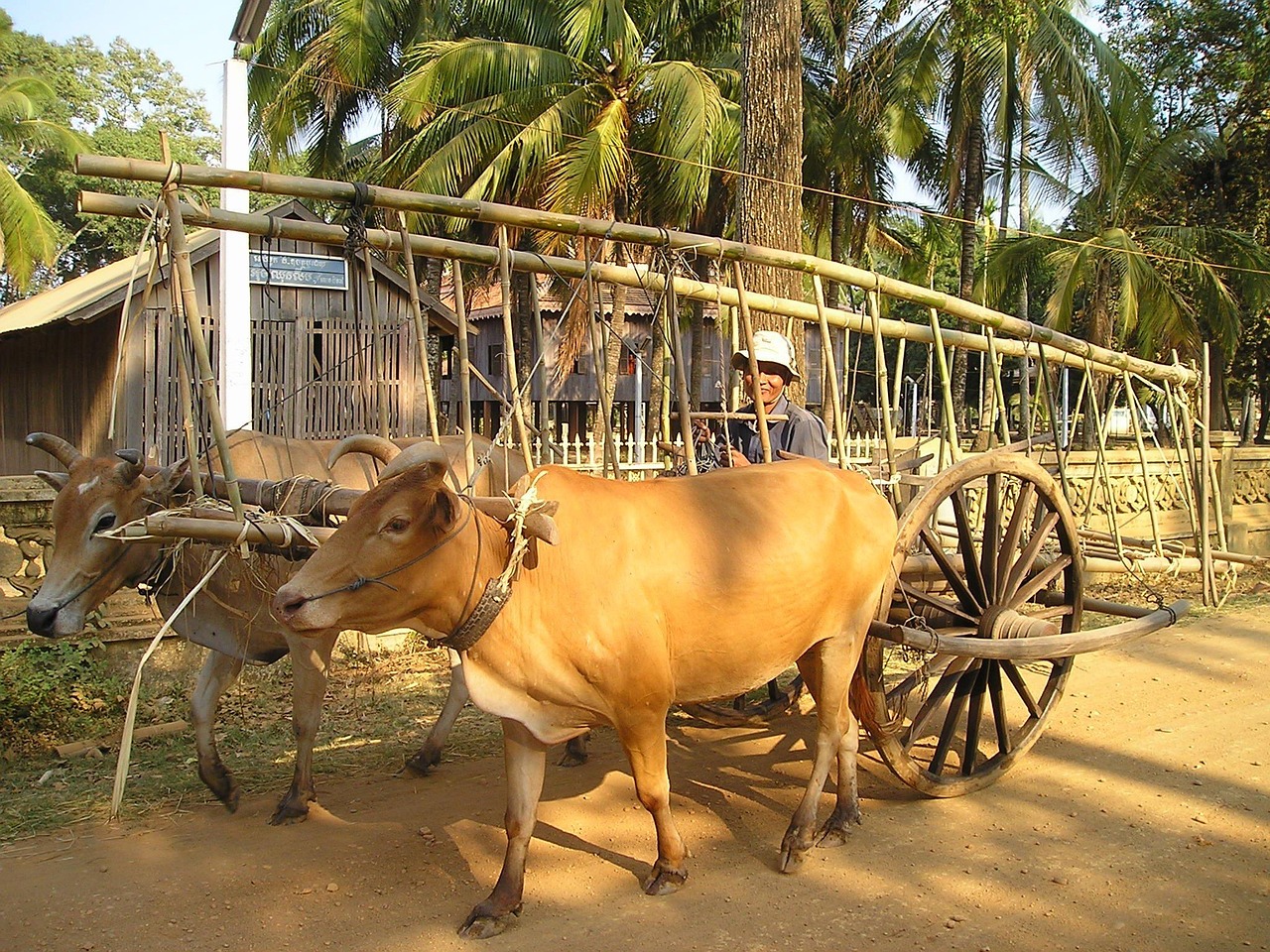 石嘴山農(nóng)產(chǎn)品網(wǎng)站搭建，助力鄉(xiāng)村振興，打造區(qū)域特色品牌