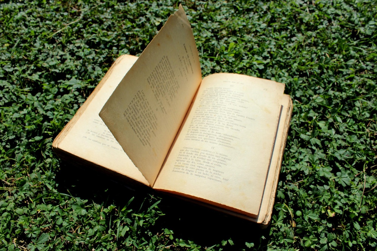 情感書單網站排名，探尋心靈慰藉的閱讀圣地，心靈療愈指南，情感書單網站排行揭秘