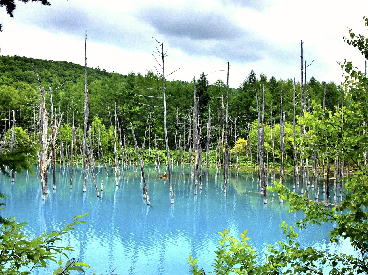夢中邂逅，那片美麗的風(fēng)景