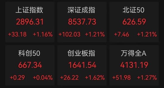 冷門板塊突然大爆發(fā)，多股連續(xù)漲停！巨頭放大招，AI大模型進(jìn)入爆發(fā)期，高增長潛力股僅6只（附名單）