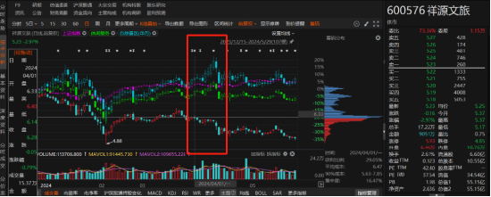 祥源文旅非經(jīng)營性資金占用雖已歸還，但仍被出具警示函！