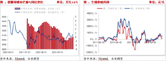 長安期貨：壓力猶在，玉米短期震蕩調(diào)整