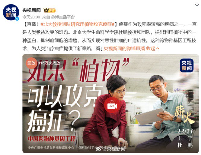 重大突破 央視重點報道！北大教授團隊研究用植物攻克癌癥