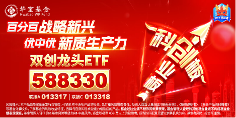 2024年收官！中國(guó)版“納斯達(dá)克”——雙創(chuàng)龍頭ETF（588330）年內(nèi)累漲14%
