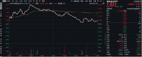 有色蓄勢高飛！有色龍頭ETF（159876）盤中逆市漲超3%！銅、金、鋁攜手上攻，北方銅業(yè)漲停封板