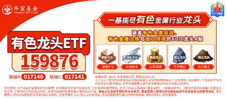 有色蓄勢高飛！有色龍頭ETF（159876）盤中逆市漲超3%！銅、金、鋁攜手上攻，北方銅業(yè)漲停封板