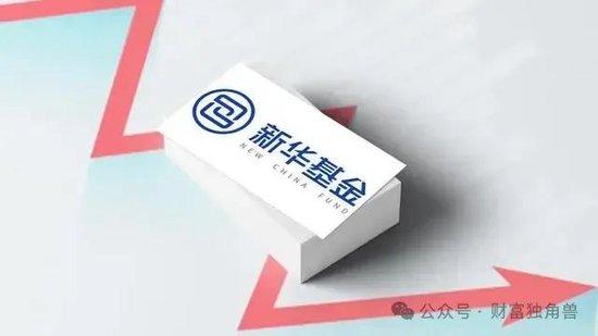 新華基金賴慶鑫在管7只基金6只虧損，高位持有國(guó)聯(lián)股份被質(zhì)疑