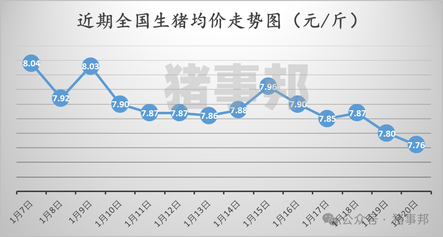 1月20日豬價(jià)匯總(多數(shù)延續(xù)跌勢(shì)?。?></p>
<p><p style=