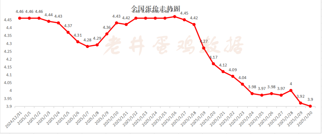 老井扯雞蛋：昨日全國(guó)雞蛋均價(jià)、淘汰雞均價(jià)均偏弱！