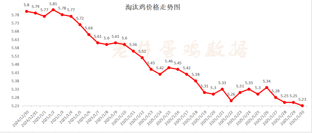 老井扯雞蛋：昨日全國(guó)雞蛋均價(jià)、淘汰雞均價(jià)均偏弱！