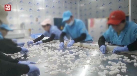 3·15晚會(huì)丨“保水蝦仁”，浮出水面！1斤蝦仁7兩冰……