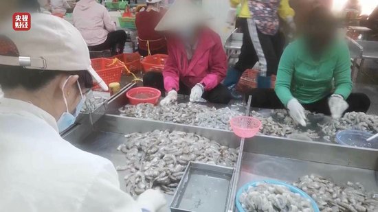 3·15晚會(huì)丨“保水蝦仁”，浮出水面！1斤蝦仁7兩冰……