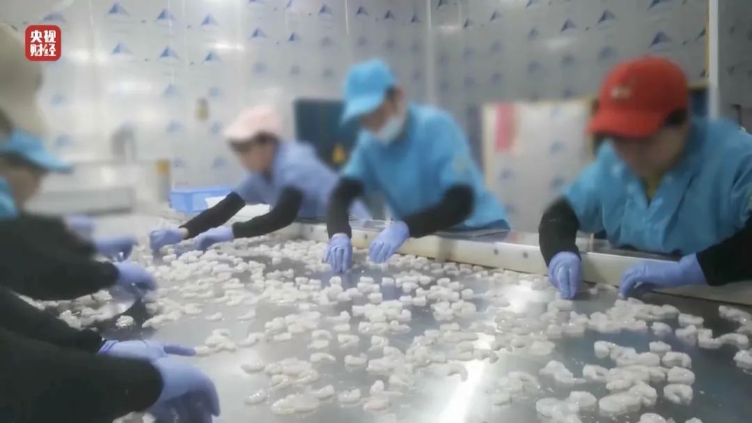 查封！關(guān)停！各地多部門連夜查處3·15曝光問題