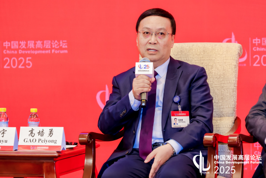 高培勇：增加地方財政的自主性，而非簡單增加地方財力
