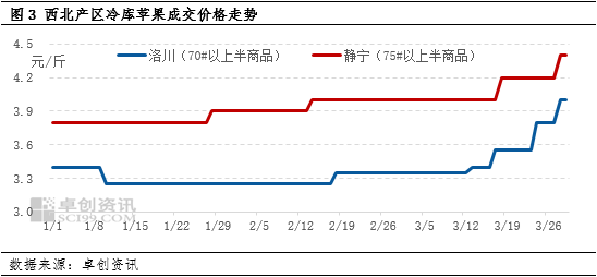 卓創(chuàng)資訊：清明節(jié)市場需求良好 產(chǎn)地蘋果價格上漲