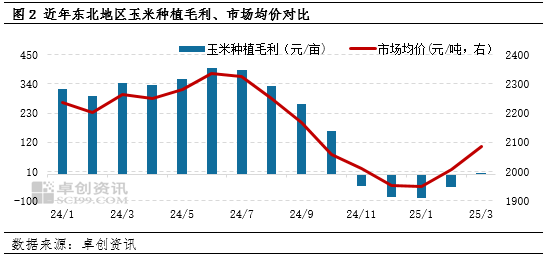 “玉”你同行：一季度東北玉米價(jià)格持續(xù)攀升，新季種植面積如何？